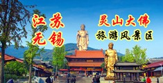 肏逼公司网站江苏无锡灵山大佛旅游风景区