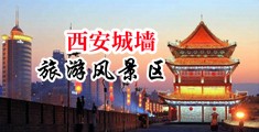操逼视频看看看中国陕西-西安城墙旅游风景区