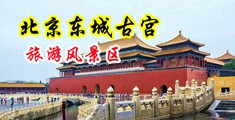 男人j猛插女人b的视频中国北京-东城古宫旅游风景区